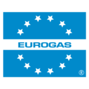 Logo Eurogas S.r.l.