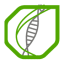 Logo Diatheva S.r.l.