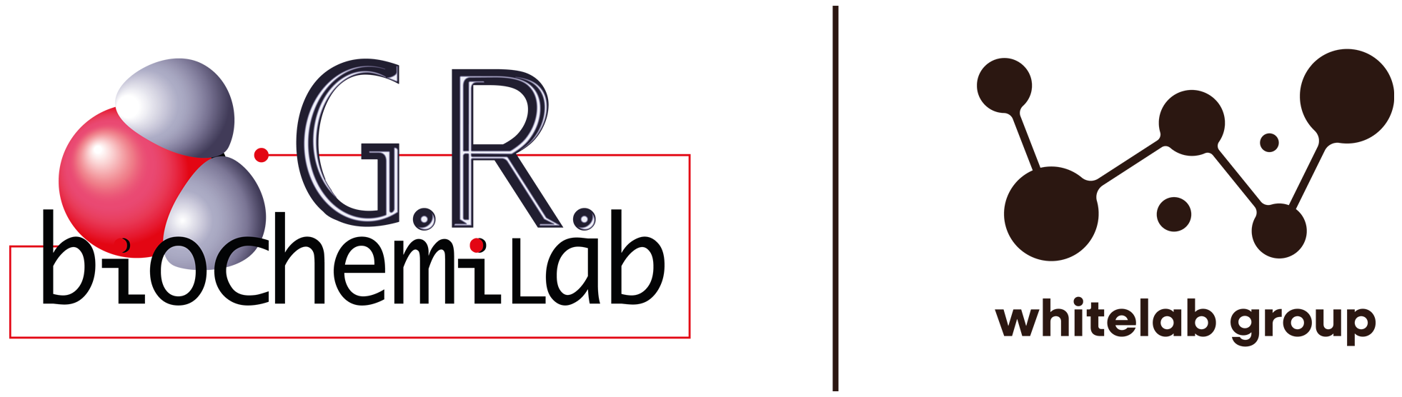 Logo G.R. Biochemilab S.r.l.